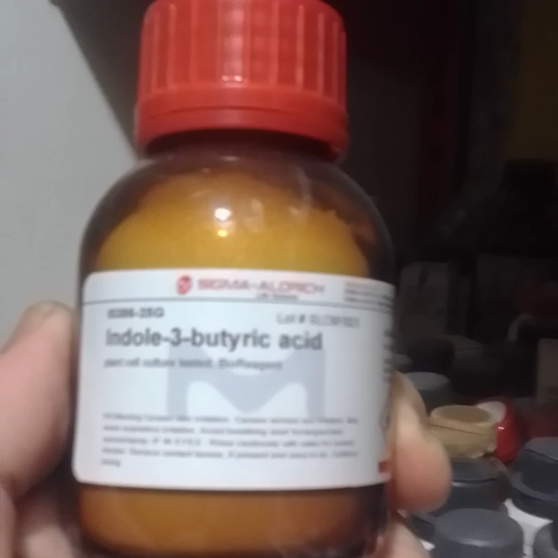 هورمون گیاهی ریشه زای ایندول بوتریک 25 گرمی سیگما آمریکا